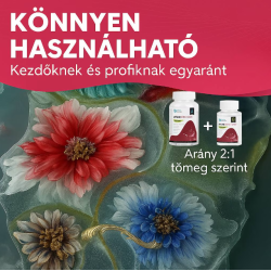 Extra Honey Epoxy Gyanta készlet Artline