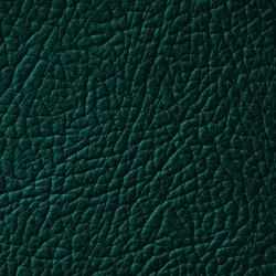 Bőrfesték 1000ml Leather Expert